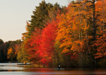 Ohio River fall foliage